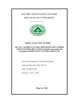 Nghiên cứu về Đặc Điểm hình thái và phân bố của cây trà hoa vàng, tại khu bảo tồn thiên nhiên văn hóa Đồng nai