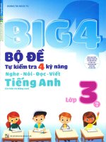 Big 4 bo de tu kiem tra 4 ky nang lop 3 tap 1 new