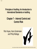 Principles of auditing an introduction to international standards on auditing