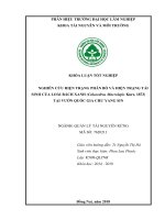 Nghiên cứu hiện trạng phân bố và Đặc Điểm tái sinh của loài bách xanh tại chư yang sin