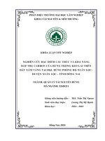 Nghiên cứu về sinh khối và khả năng hấp thụ carbon của rừng trồng keo lai trên Đất xám vàng tại bql rừng phòng hộ xuân lộc   huyện xuân lộc   tỉnh Đồng nai