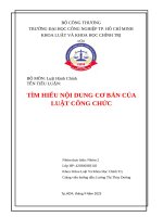 IUH | Tiểu luận Luật hành chính | TÌM HIỂU NỘI DUNG CƠ BẢN CỦA LUẬT CÔNG CHỨC