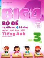 Big 4 bo de tu kiem tra 4 ky nang lop 3 tap 2 new