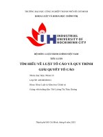 IUH | Tiểu luận Luật hành chính Việt Nam | TÌM HIỂU VỀ LUẬT TỐ CÁO VÀ QUY TRÌNH GIẢI QUYẾT TỐ CÁO