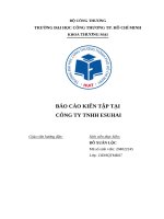 Báo cáo kiến tập tại công ty tnhh esuhai