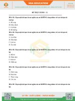 Đề thực hành Định tính 11-2024