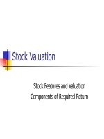 Topic  stock valuation