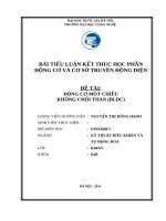Đề tài Động cơ một chiều không chổi than (bldc)