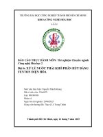 IUH | Báo cáo thực hành môn Công nghệ hóa học 2 | BÀI 6: XỬ LÝ NƯỚC THẢI KHÓ PHÂN HỦY BẰNG FENTON ĐIỆN HÓA