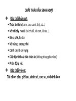 Chất thải rắn sinh hoạt