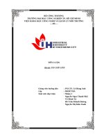 IUH | Tiểu luận | TÁI CHẾ GIẤY
