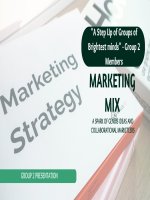 Marketing mix case study