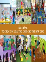 BÀI GIẢNG - TỔ CHỨC CÁC LOẠI TRÒ CHƠI CHO TRẺ MẪU GIÁO ( combo full slides )