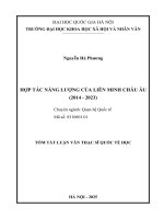 Hợp tác năng lượng của liên minh châu Âu (tt)