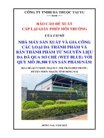 Báo cáo Đề xuất cấp giấy phép môi trường (gpmt) của công ty tnhh da thuộc tai yu