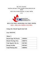 IUH | BÁO CÁO THỰC HÀNH PHỤ GIA THỰC PHẨM | PHỤ GIA CHỐNG OXY HÓA