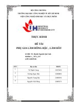 IUH | ĐỀ TÀI PHỤ GIA LÀM ĐÔNG ĐẶC , LÀM ĐẦY