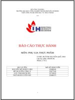 IUH | BÁO CÁO THỰC HÀNH PHỤ GIA THỰC PHẨM | BÀI 3: PHỤ GIA LÀM ĐÔNG ĐẶC, LÀM DẦY