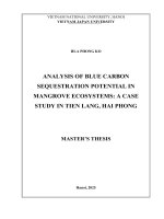 00051000977 Analysis of blue carbon sequestration potential in mangrove ecosystems A case study in Tien Lang, Hai Phong
