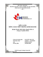 IUH | TIỂU LUẬN GIAO TIẾP TRONG KINH DOANH | Doanh nhân Đoàn Nguyên Đức và Công ty Cổ phần HAGL