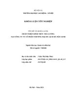HOÀN THIỆN HÌNH THỨC TRẢ LƯƠNG TẠI CÔNG TY TY CỔ PHẦN THƯƠNG MẠI DU LỊCH HÀ NỘI XANH