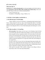 Đề cương chi tiết marketing