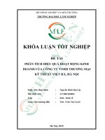 Phân tích hiệu quả hoạt Động kinh doanh của công ty tnhh thương mại kỹ thuật việt hà, hà nội