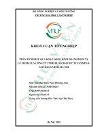 Phân tích hiệu quả hoạt Động kinh doanh dịch vụ lữ hành của công ty tnhh du lịch quốc tế fansipan   sao bạch minh, hà nội