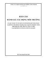 Báo cáo Đánh giá tác Động môi trường dự Án Đầu tu xây dựng tuyến Đường kết nối sân bay gia bình về thủ Đô hà nội