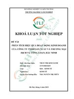 Phân tích hiệu quả hoạt Động kinh doanh của công ty tnhh sản xuất và thương mại dịch vụ công loan, bắc ninh