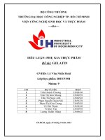 IUH | Tiểu luận Phụ gia thực phẩm | GELATIN