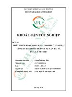 Phát triển hoạt Động kinh doanh lữ hành tại công ty tnhh Đầu tư dịch vụ vận tải và du lịch netviet