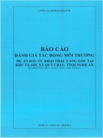 Báo cáo Đánh giá tác Động môi trường dự Án Đầu tư khai thác vàng gốc tại khu tà sỏi xã quỳ châu tỉnh nghệ an