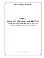 Báo cáo Đánh giá tác Động môi trường dự Án nhà máy dệt bao bì xuất khẩu số 2