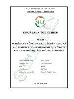 Nghiên cứu công tác kế toán bán hàng và xác Định kết quả kinh doanh tại công ty tnhh thương mại Ánh hương, ninh bình