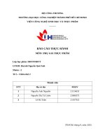 IUH | BÁO CÁO THỰC HÀNH PHỤ GIA THỰC PHẨM | PHỤ GIA CHỐNG OXY HÓA