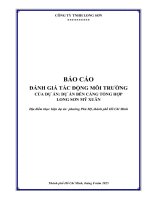 Báo cáo Đánh giá tác Động môi trường dự Án bến cảng tổng hợp long sơn mỹ xuân