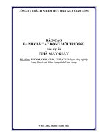 Báo cáo Đánh giá tác Động môi trường dự Án nhà máy giấy