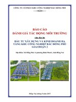 Báo cáo Đánh giá tác Động môi trường dự Án Đầu tư xây dựng và kinh doanh hạ tầng kcn bắc Đồng phú giai Đoạn 2