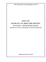 Báo cáo Đánh giá tác Động môi trường dự Án khu 1 kđt mới cam lâm