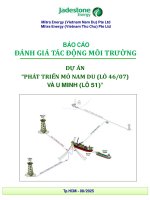 Báo cáo Đánh giá tác Động môi trường dự Án phát triển mỏ nam du và u minh