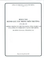 Báo cáo Đánh giá tác Động môi trường dự Án trồng chuối cấy mô Ứng dụng công nghệ cao của công ty tnhh mtv cao su phú riềng