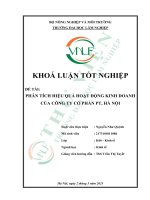 Phân tích hiệu quả hoạt Động kinh doanh của công ty cổ phần pt, hà nội