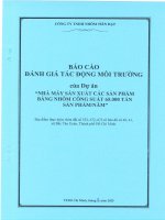 Báo cáo Đánh giá tác Động môi trường dự Án nhà máy sản xuất các sản phẩm bằng nhôm