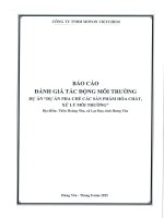 Báo cáo Đánh giá tác Động môi trường dự Án pha chế các sản phẩm hóa chất xử lý môi trường