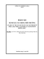 Báo cáo Đánh giá tác Động môi trường dự Án sản xuất các sản phẩm từ nhựa hạt nhựa tái sinh và vải manh pp không dệt