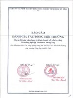 Báo cáo Đánh giá tác Động môi trường dự Án Đầu tư xây dựng và kinh doanh kết cấu hạ tầng kcn vinhomes vũng Áng