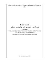 Báo cáo Đánh giá tác Động môi trường nhà máy sản xuất các sản phẩm nhôm và các nhựa eurostark