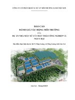 Báo cáo Đánh giá tác Động môi trường dự Án nhà máy xử lý chất thải công nghiệp và nguy hại