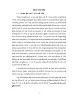 Tiểu luận KTVM - Lạm phát tại các nước phát triển